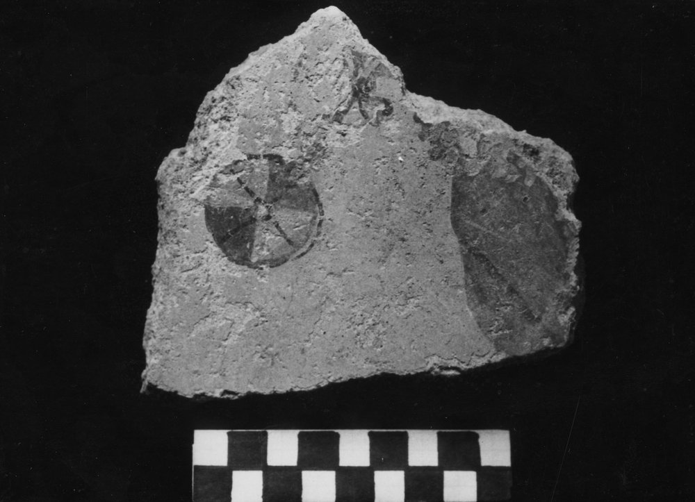 VB-SM 024-asf010085.JPG