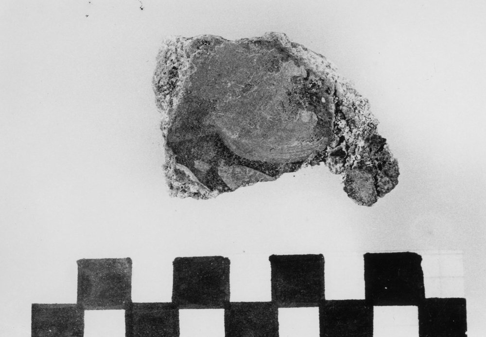 VB-SM 023-asf010083.JPG