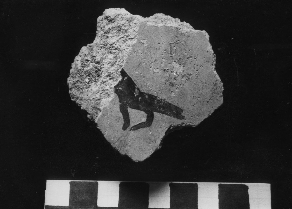 VB-SM 024-asf010087.JPG