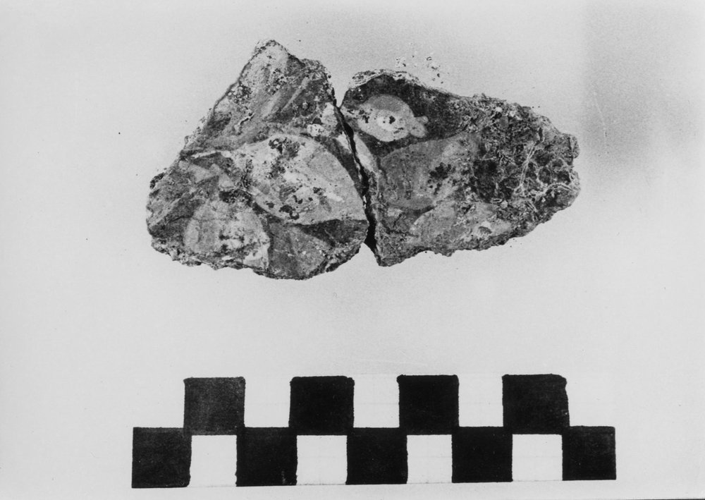 VB-SM 018-asf010064.JPG