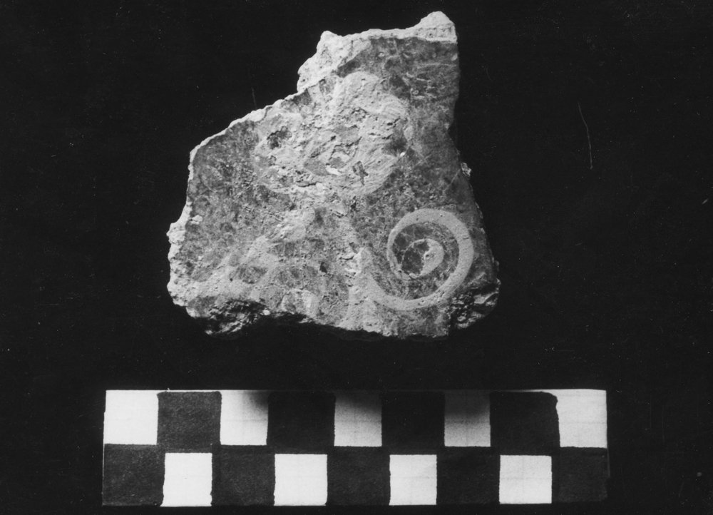 VB-SM 028-asf010111.JPG