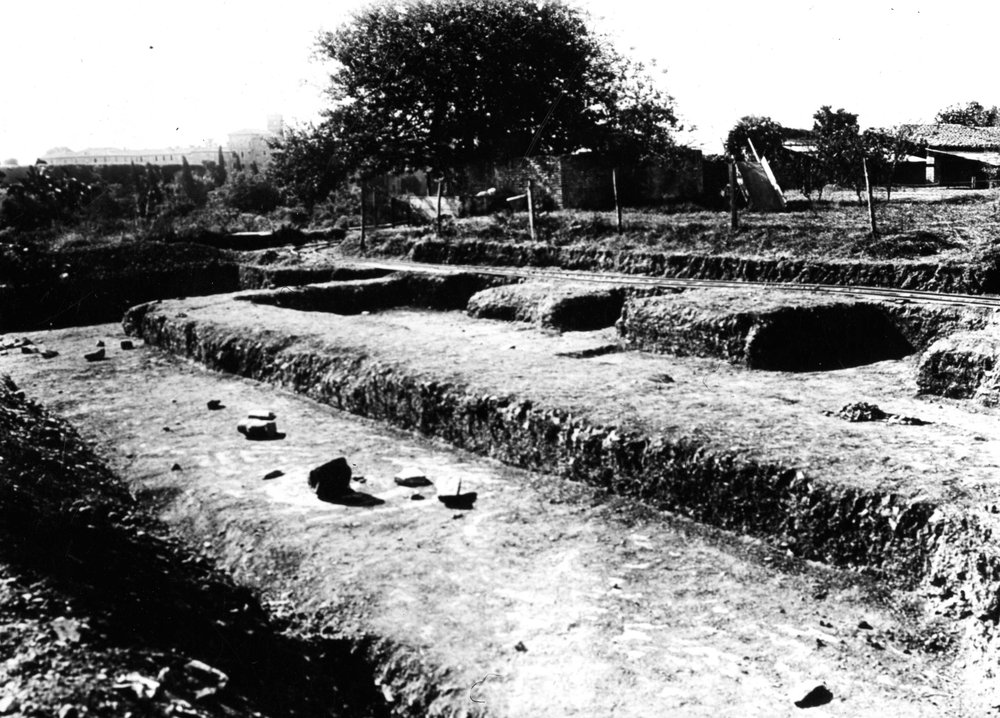 VB008-asf010126.jpg