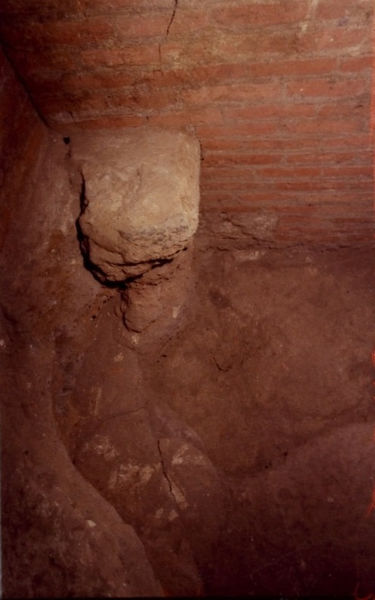 008577 - scavo archeologico - Domus Tiberiana, settore 12-Livello V: particolare scavi nell'ambiente 63 (scavi Istituto svizzero), 1985