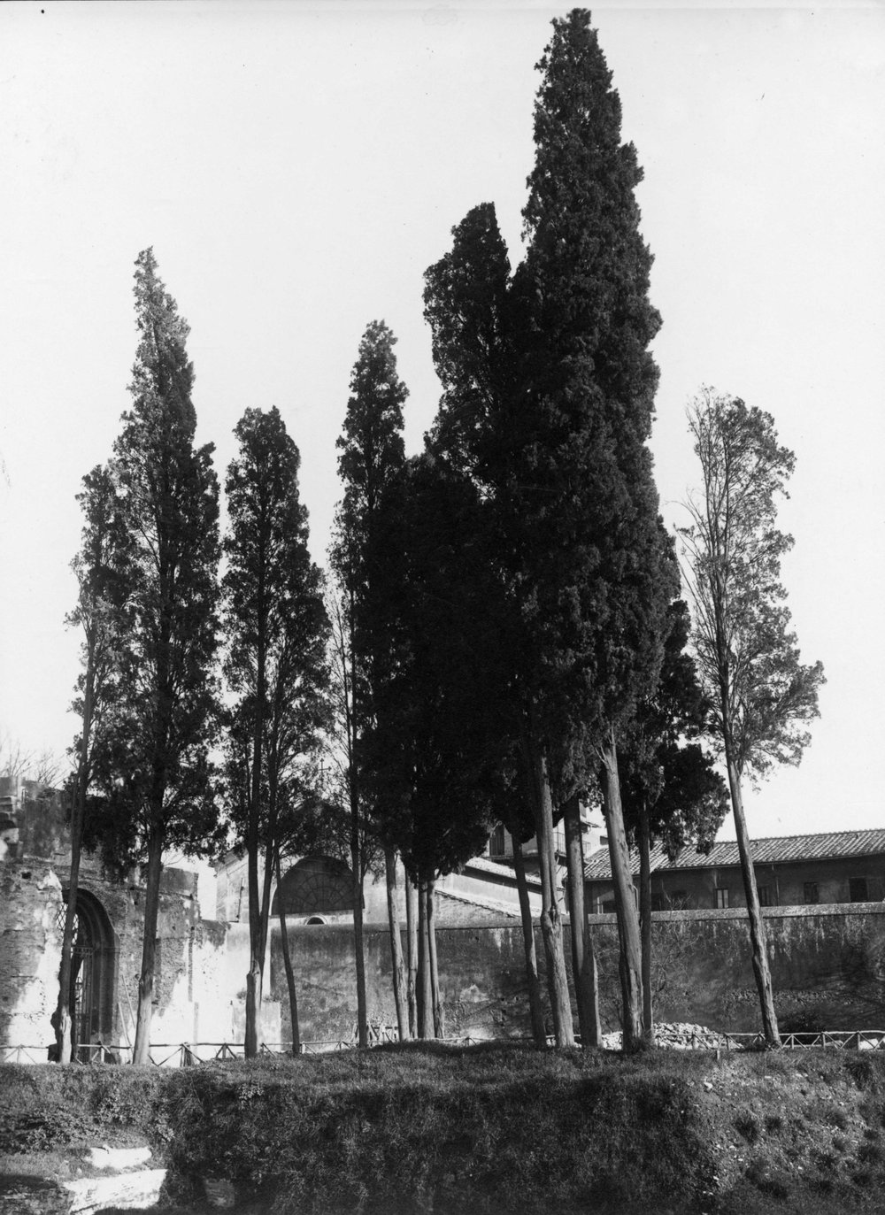 VM - I015-asf010215.jpg
