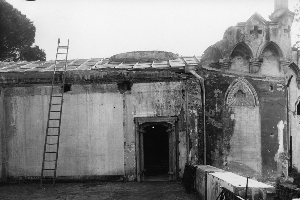 VM-AI023-asf010172.JPG
