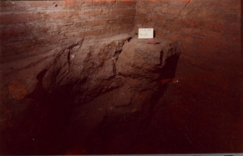 008583 - scavo archeologico - Domus Tiberiana, settore 12-Livello V: particolare scavi nell'ambiente 63 (scavi Istituto svizzero), 1985