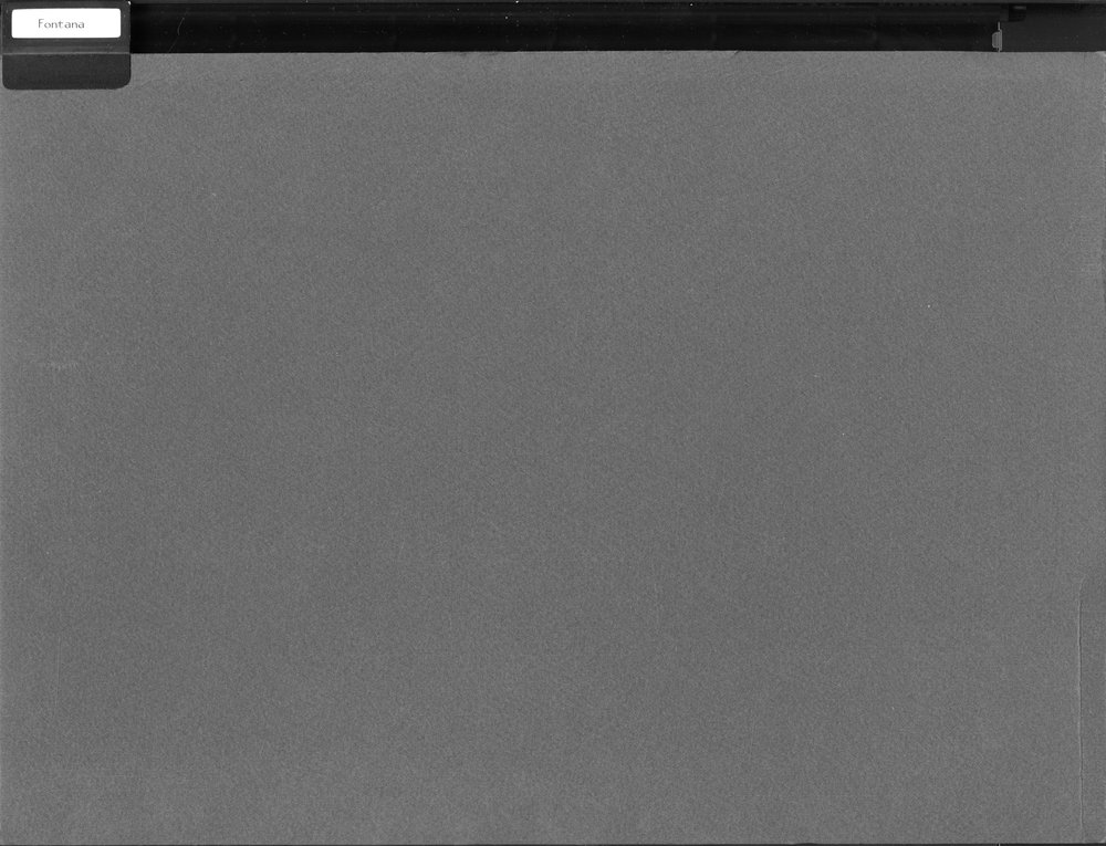 Schedone001.tif