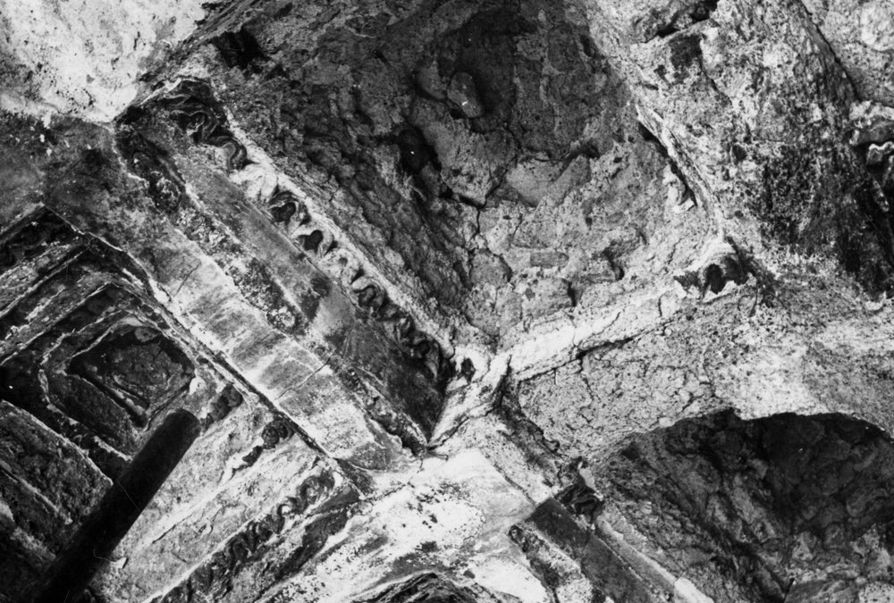 S-LE017-asf006331.JPG