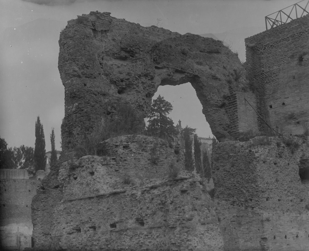 S-LE003-asf006305.jpg