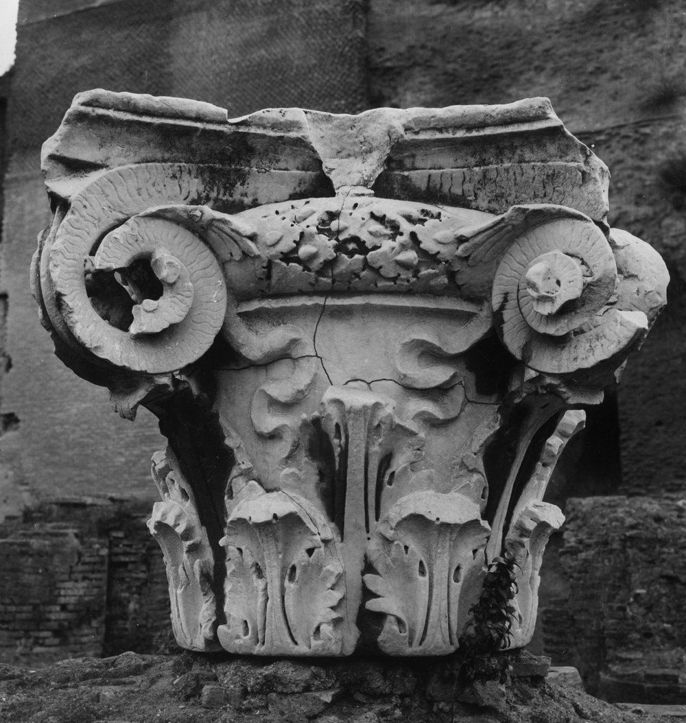 S-AM008-asf006293.jpg