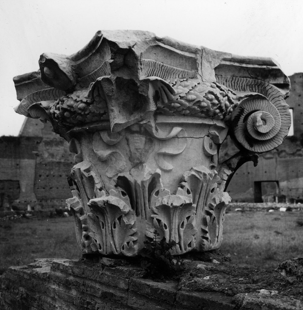 S-AM005-asf006287.jpg
