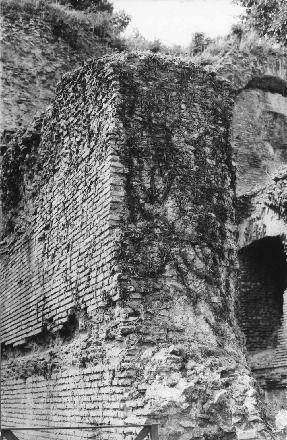 BNVS 030-asf002885.JPG