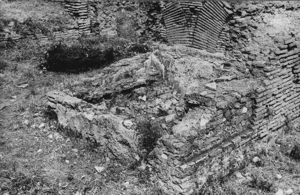 BNVS 027-asf002878.JPG