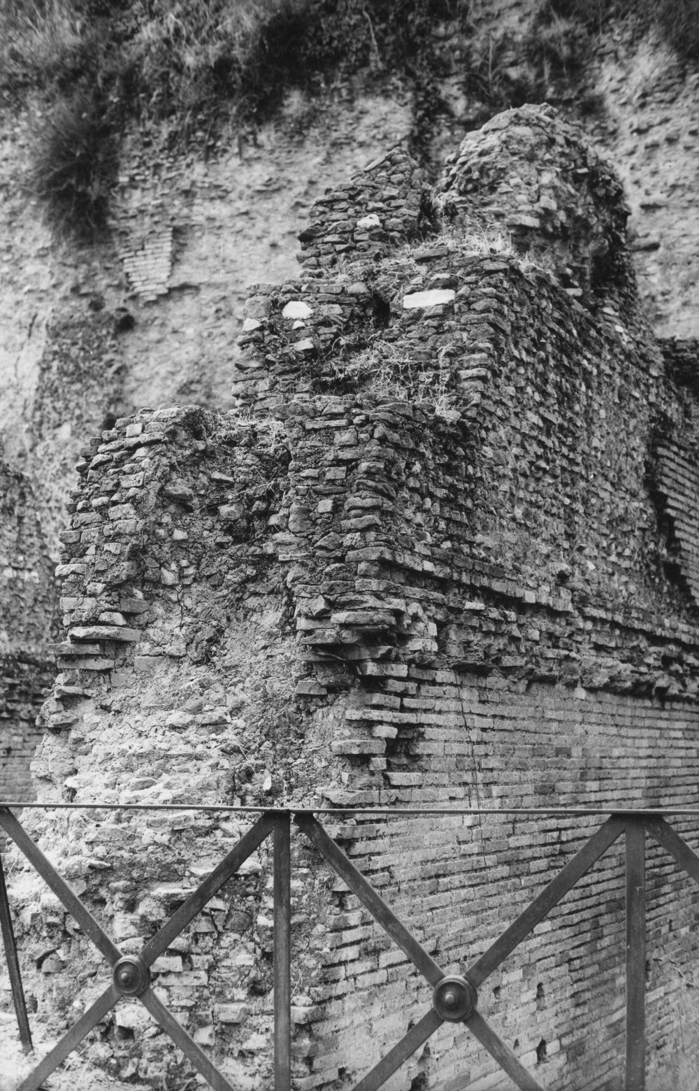 BNVS 030-asf002886.JPG