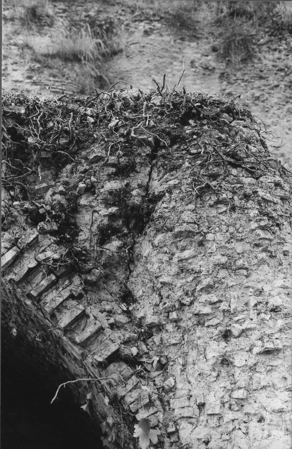 BNVS 028-asf002881.JPG