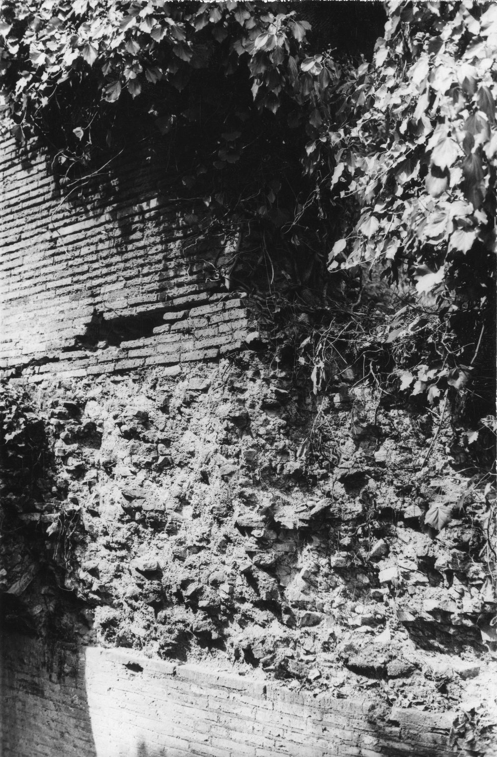 BNVS 031-asf002888.JPG