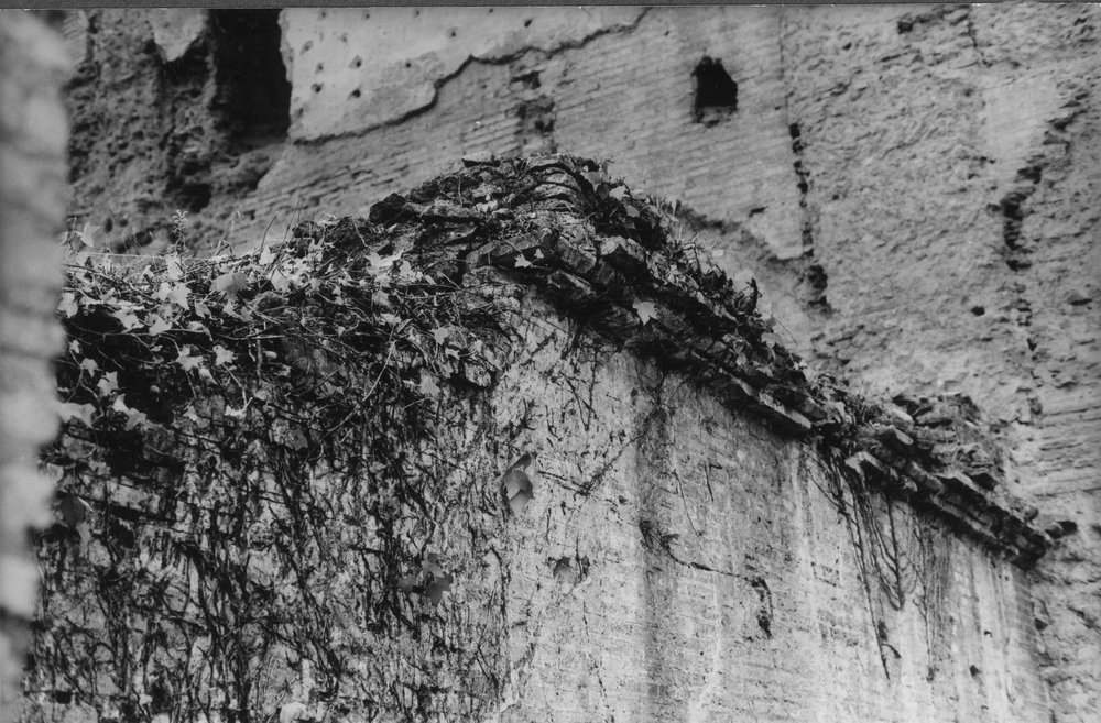 BNVS 033-asf002890.JPG