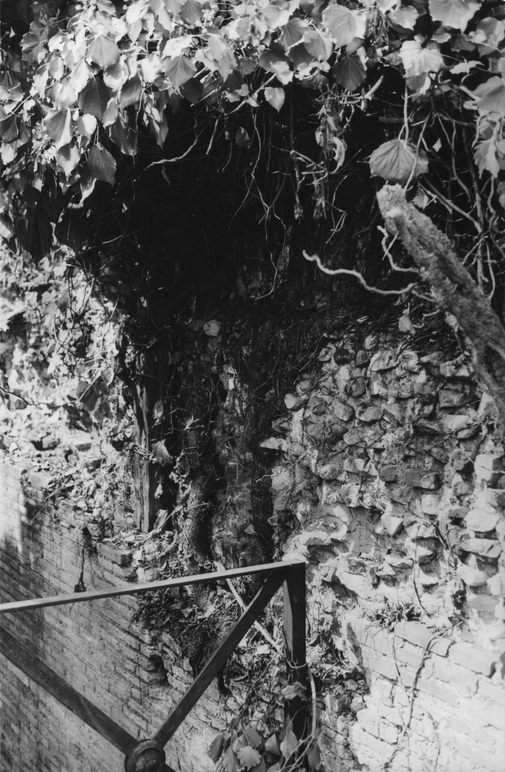 BNVS 031-asf002887.JPG