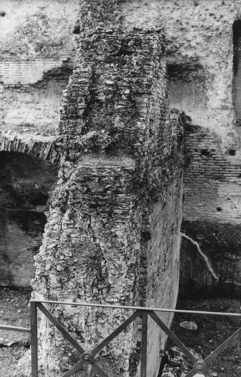 BNVS 029-asf002884.JPG