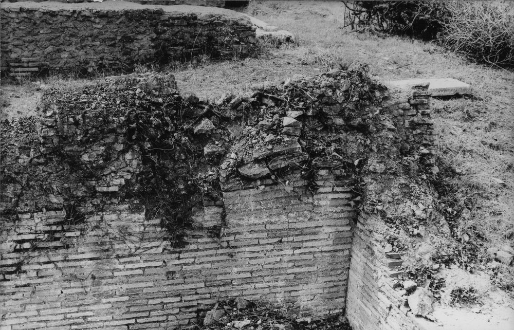 BNVS 025-asf002874.JPG