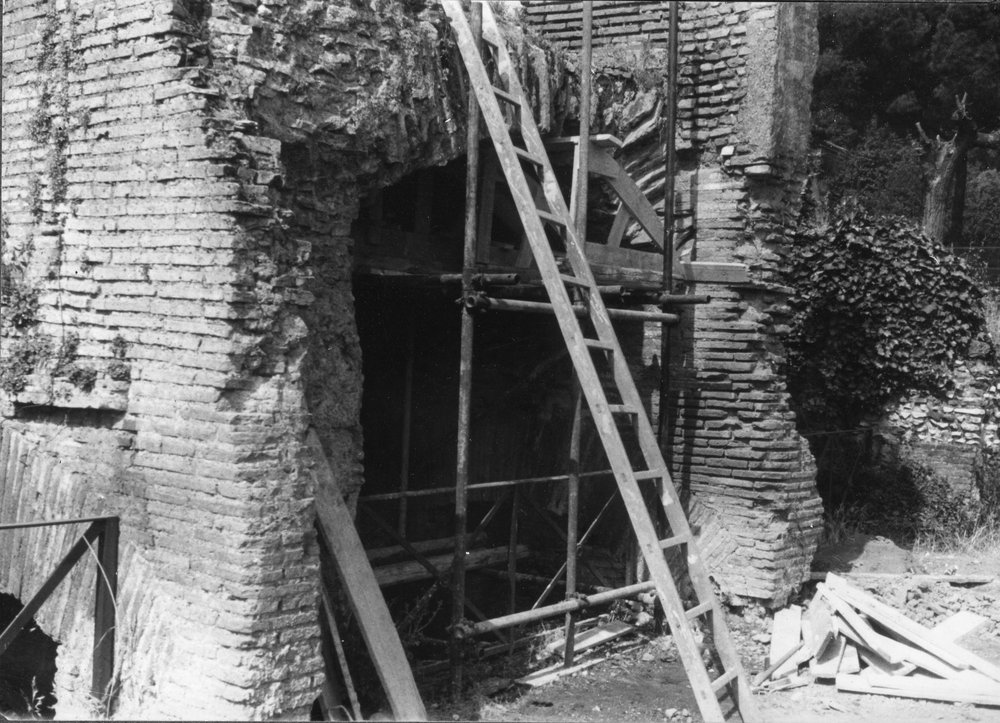 BNVS 002-asf002849.JPG