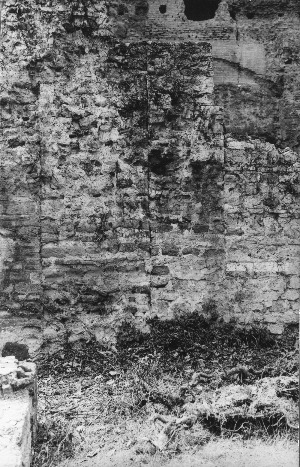 BNVS 032-asf002889.JPG