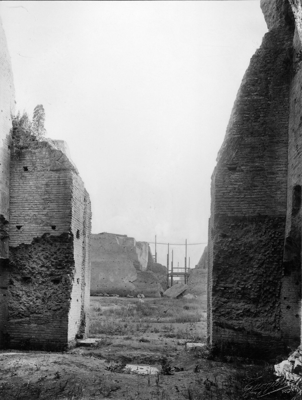 DA-PILN006-asf005921.JPG