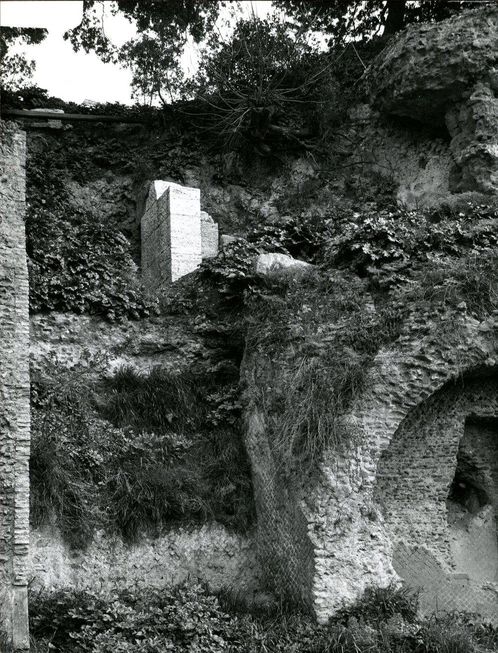 Casa di Augusto - CVC - 001-asf002227.jpg