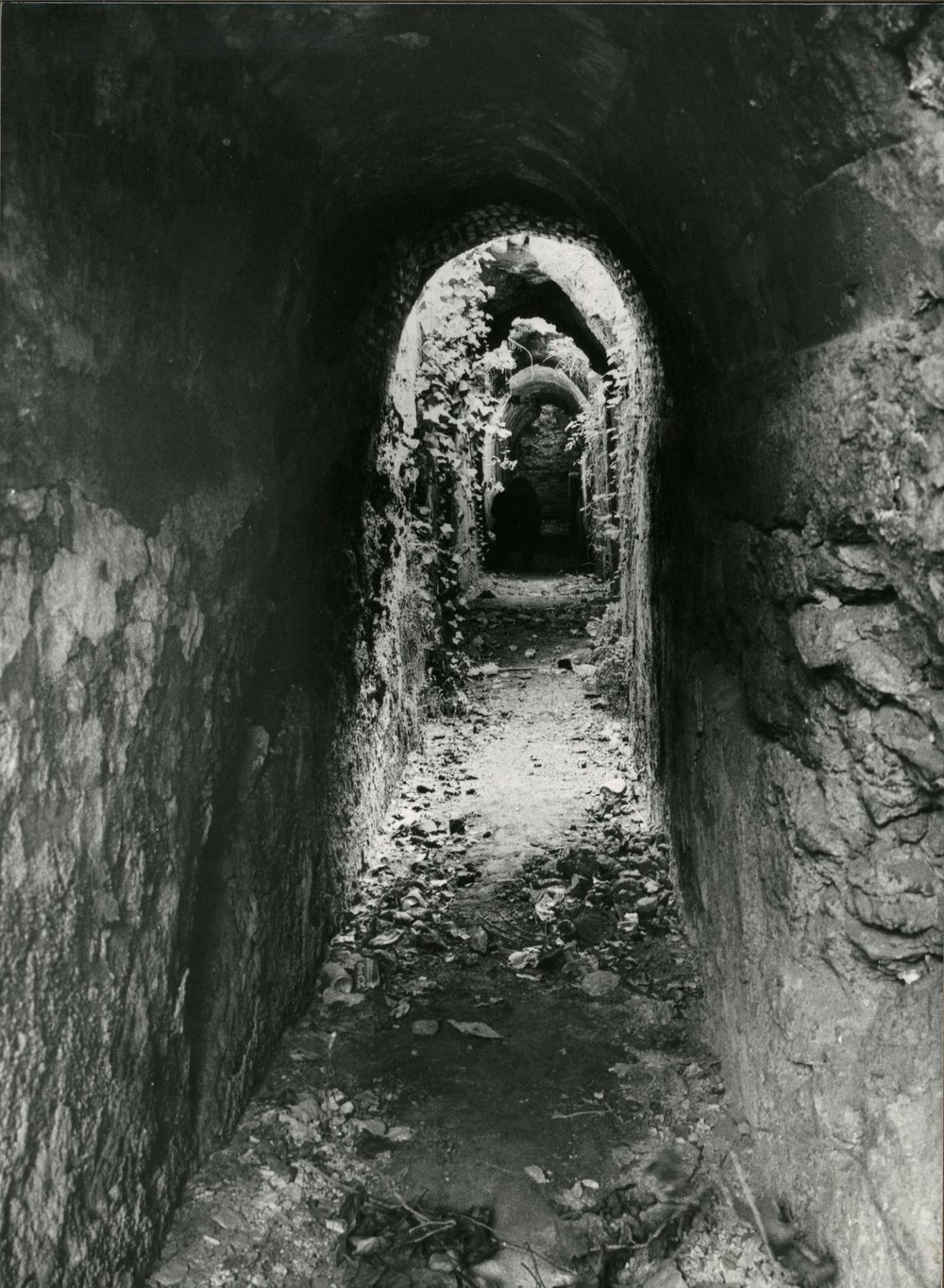Casa di Augusto - STA - 001-asf002239.jpg