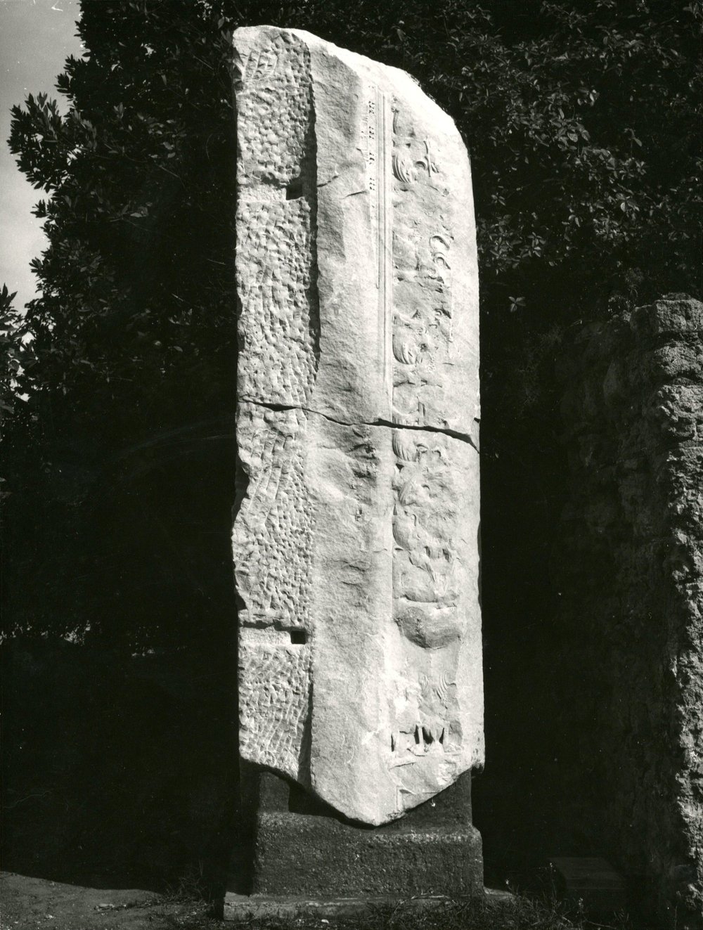 CA - S - 003-asf002251.jpg
