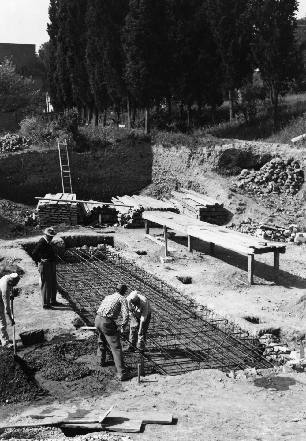 HF-PV014-asf006197.JPG