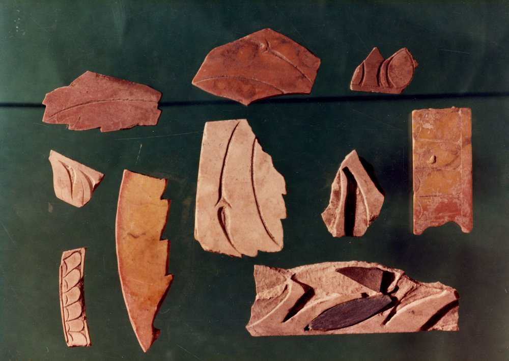 DTr-T002-asf005824.JPG