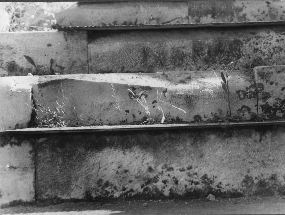 DTr-SR 045 - asf005537.jpg