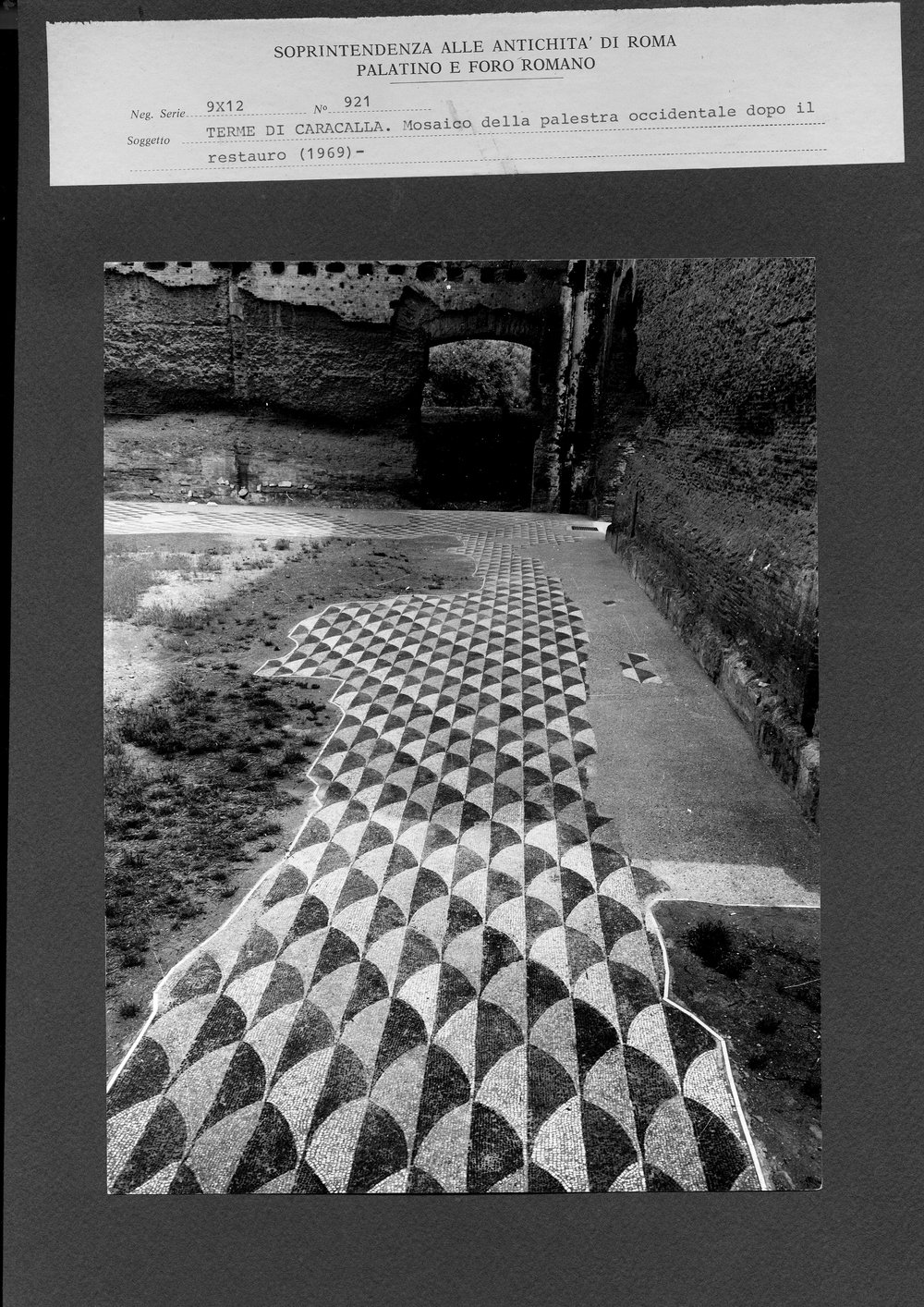 Senza titolo-19.jpg