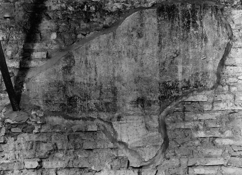 019686 - monumento - S. Maria Antiqua, pitture nell'Atrio, parete di fondo a destra: particolare di pittura; neg. serie E, n. 51694