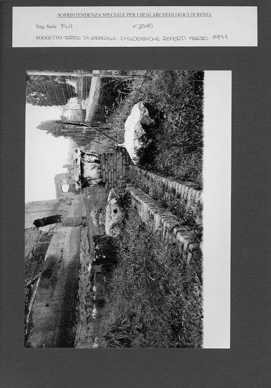 Senza titolo-21.jpg