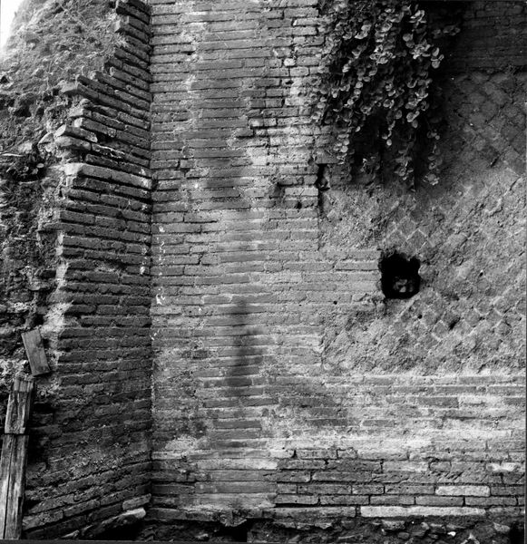 005069 - scavo archeologico - Domus Tiberiana, Clivus della Victoriae settore 13-Livello IV: ambiente 9 scavi