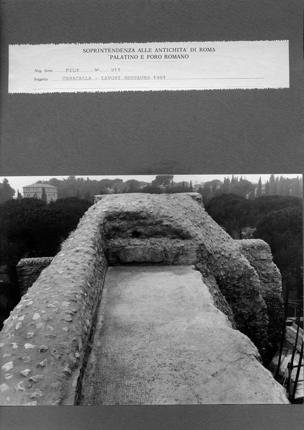 Senza titolo-36.jpg