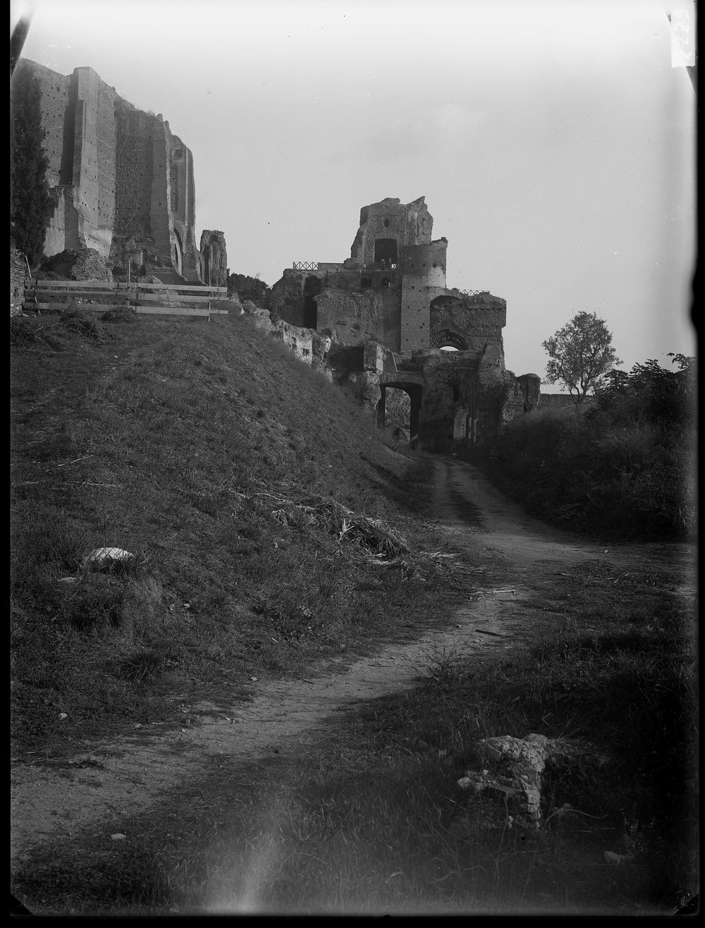 Lastra E2229 palatino.tif