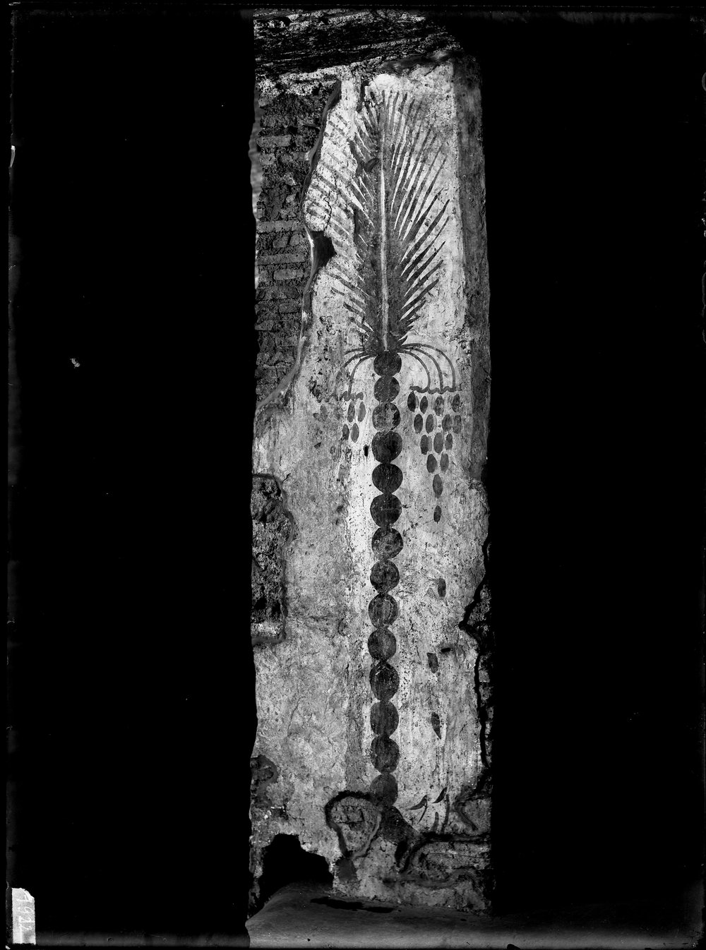 E1922 S.Maria Antiqua.tif