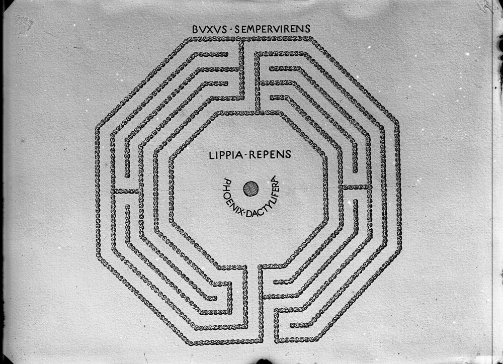 Lastra E2065 - domus flavia.JPG