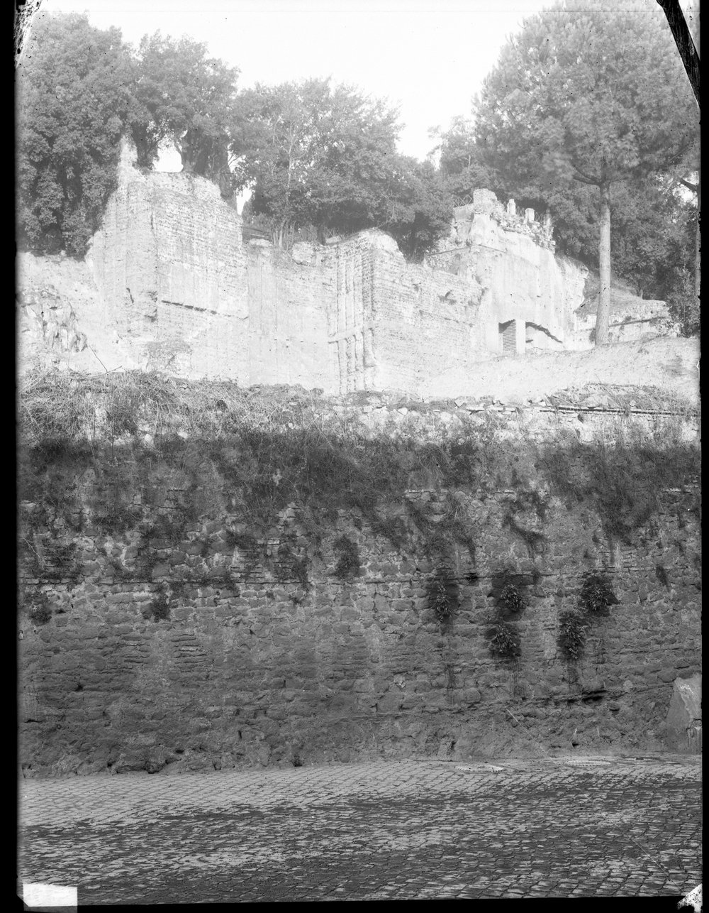 Lastra E2362 - Domus Tiberiana, Bastione Farnesiano.tif