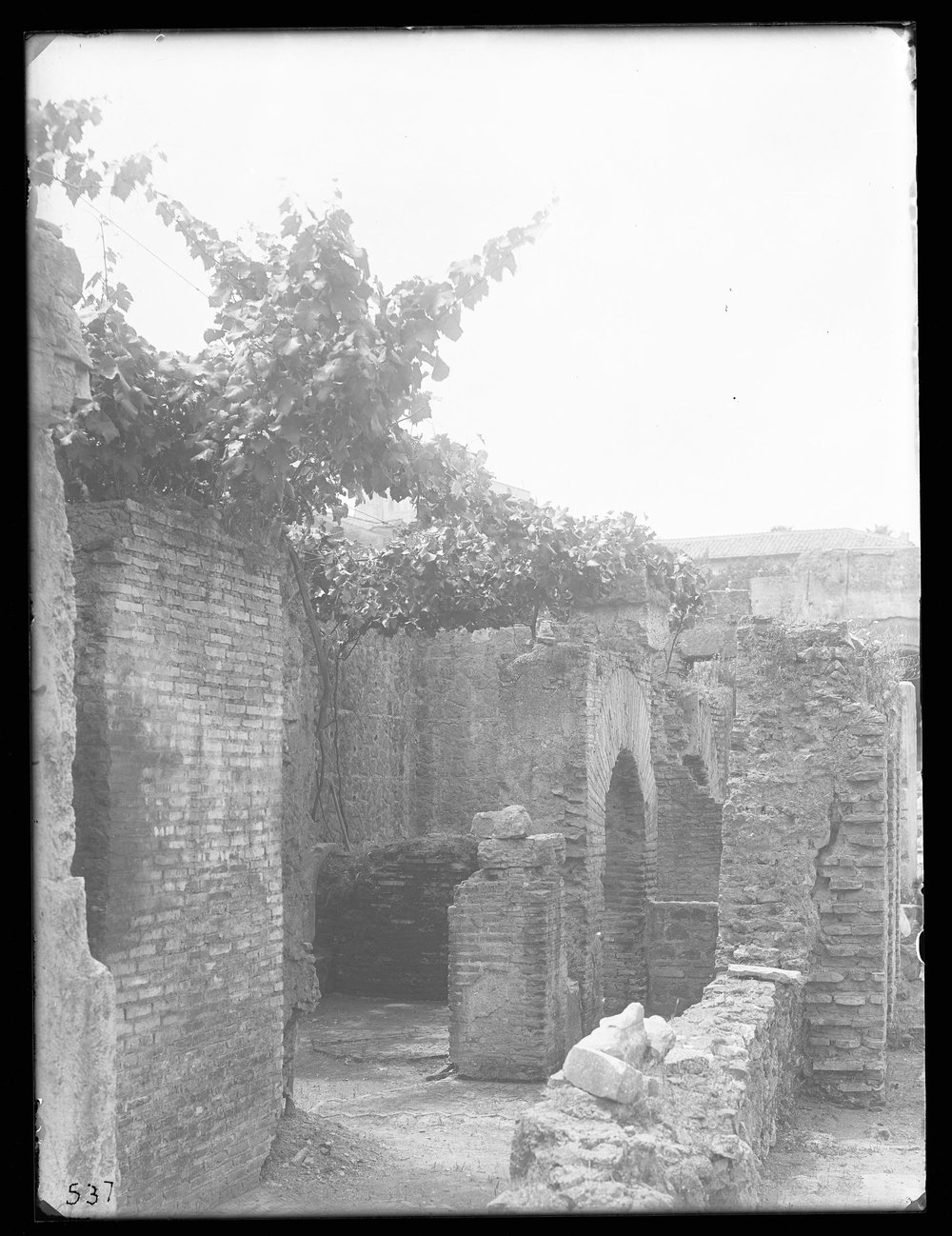 Lastra E 537 - Flora.JPG