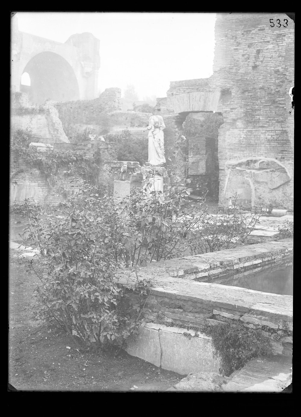 Lastra E 533 - Flora.JPG