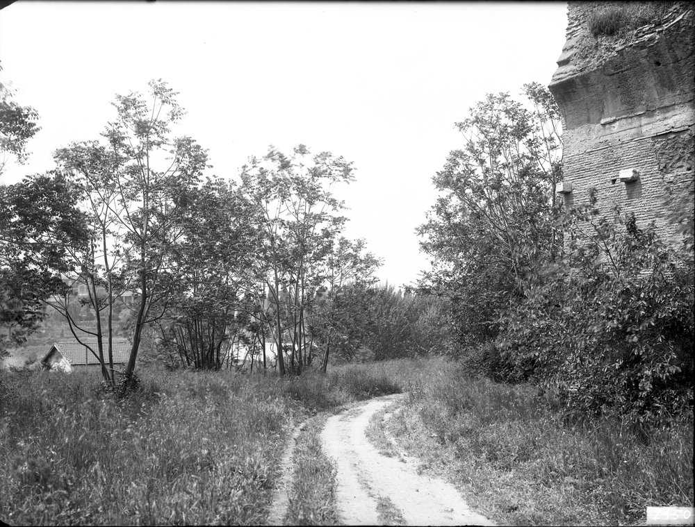 Lastra E 2150 - Palatino (3° Via dei Trionfi).tif