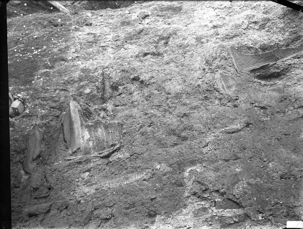 Lastra E 2126 - S.P. - Palco Imperiale.tif