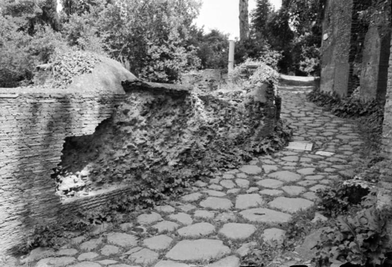 1-00012/ 07554/ 16782 - Roma - Palatino - Clivus Victoriae