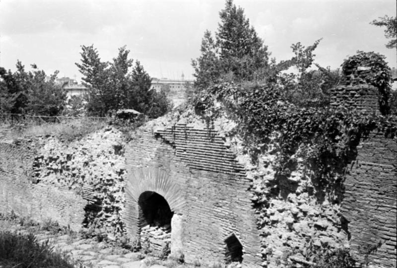 1-00012/ 07554/ 16782 - Roma - Palatino - Clivus Victoriae