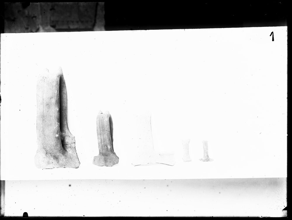 Lastra E1940 Antiquario Forense.tif
