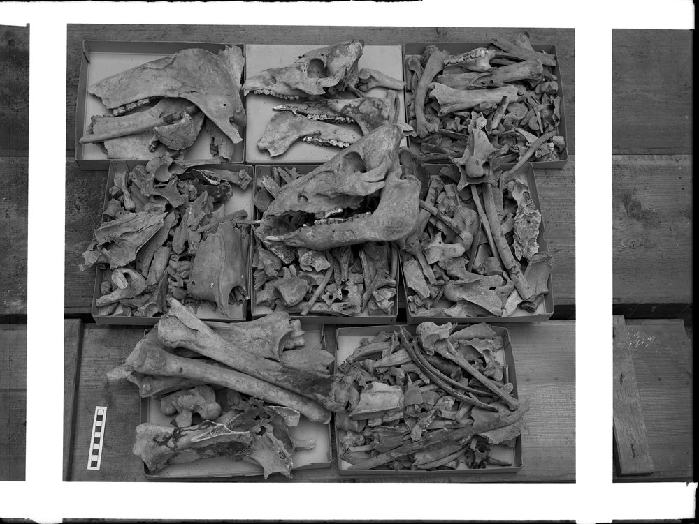Lastra E 1415 - Antiquario Forense (pozzo arcaico di vesta).tif